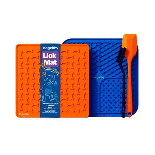 KIT 5 - Home office
