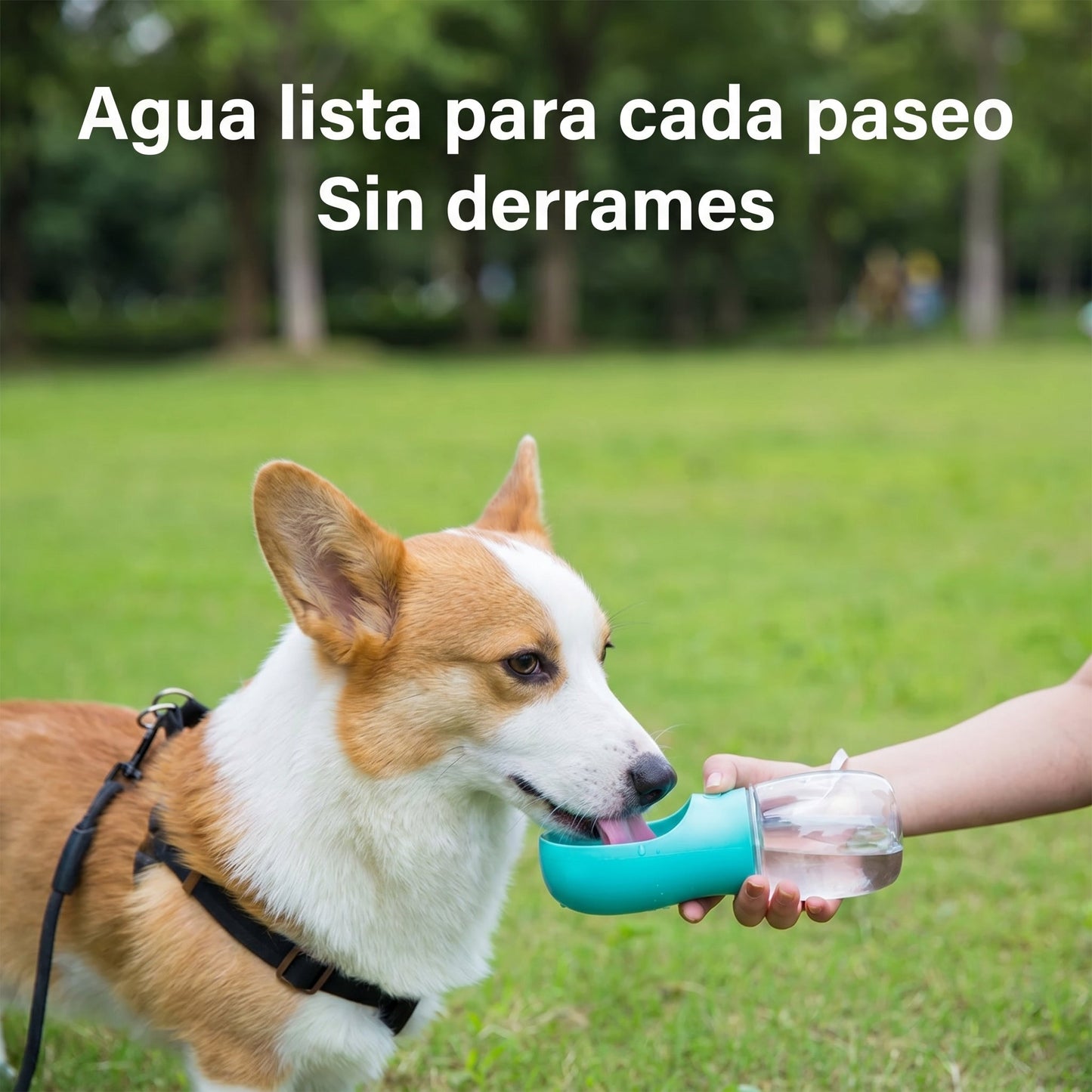 Botella de agua portátil para perros