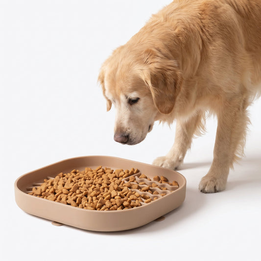 Slow Feeder de Silicona para Perro y Gato