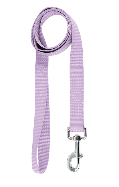 Basic Leash