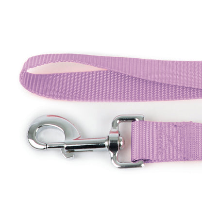 Basic Leash