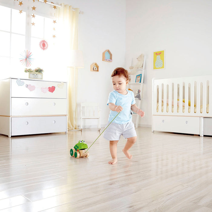 Hape Frog Pull Toy