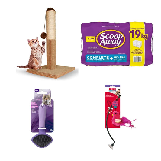 KIT 4 - Gato de interior