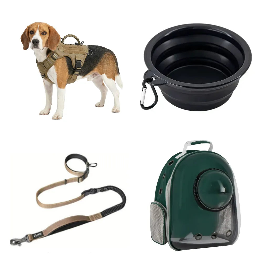 KIT 3 - Pet Travel